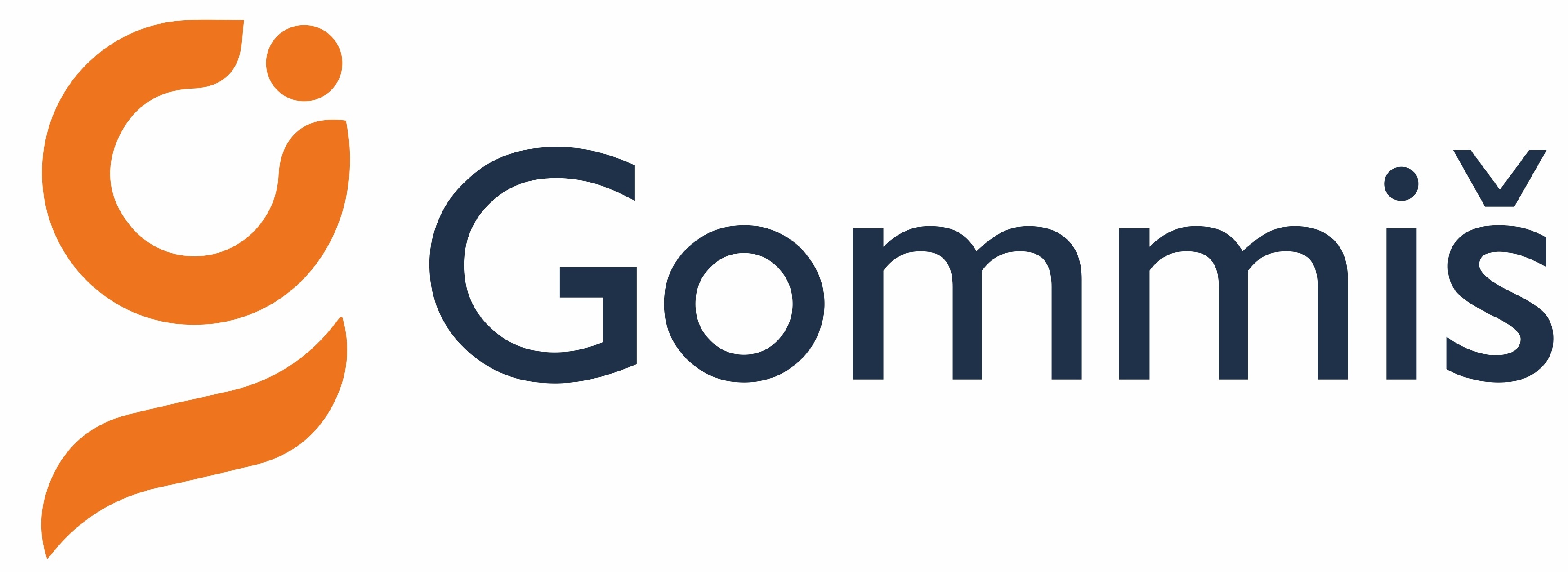 Organizator-menadžer proizvodnje